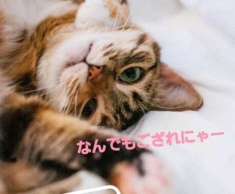カウンセラーがあなたの気持ちに寄り添います 暇潰しでも良し！話したいことたまってませんか！？ イメージ1
