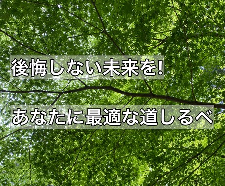 48時間以内！あなたの人生をナビゲートします 『あなた専用』の人生の地図で、未来への道を明確に。 イメージ2