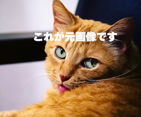 記念日やギフトに！名画や季節の背景で加工します 真珠の耳飾りの少女風など、世界に一枚のアートへ仕上げます イメージ2