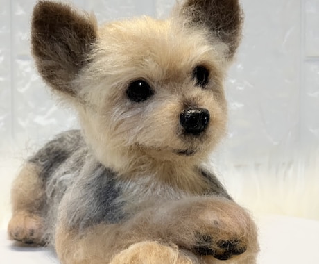 5名限定　愛犬のうちの子オーダーお作りします もう一度会いたい愛犬を羊毛フェルトでお迎えしませんか？ イメージ1
