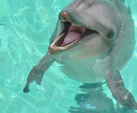 3日間、全力であなたの応援団します 何でもOK!！試験勉強、資格勉強、英語学習、就職、面接対策 イメージ2