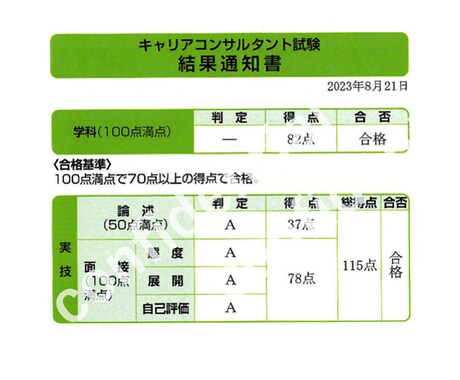 キャリコン試験＜論述・面接対策＞勉強ノート売ります 実務経験0でも実技オールAで一発合格！合格のヒントを言語化 イメージ2