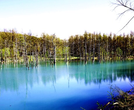 北海道（道北近辺）の風景写真撮ります 北海道に行った気分になれるようなフォトを提供します イメージ1