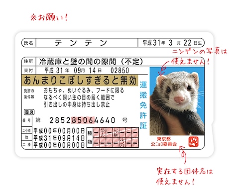 運転免許証そっくりなICカードステッカー作ります ペットの写真で作って、Suicaなどに貼っちゃおう！ イメージ2
