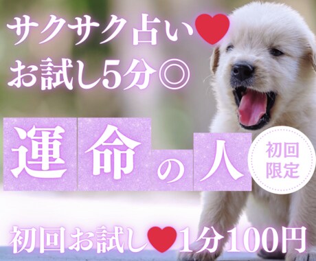 お試し♡5分でサクッと、運命の人を占います 【4月末まで♡1分200円→100円初回限定】短時間OK♡ イメージ1