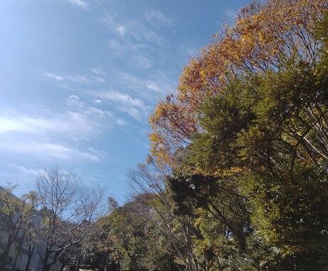 あなたのお話聞きます 誰かに伝えたい時、何でも少しでも、お話ください イメージ1