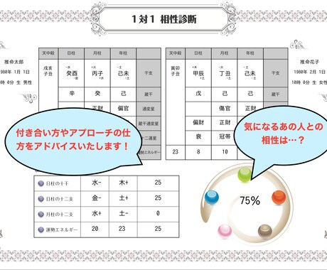 誰にも言えないパートナーの攻略法教えます パートナーの性格を徹底的に解明！最高の関係構築をアドバイス！ イメージ2