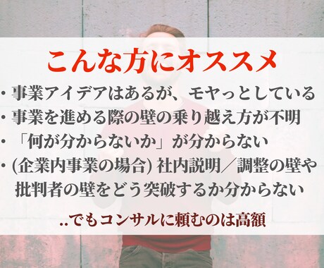 事業ブラッシュアップや壁を乗り越える支援をします 売上1兆超正社員+起業経験から、事業を前に進める支援します！ イメージ2