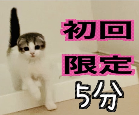 初回限定！【5分1000円】お話し聞きます /初めての方はこちらの【お試し価格】をご利用下さい♪ イメージ1