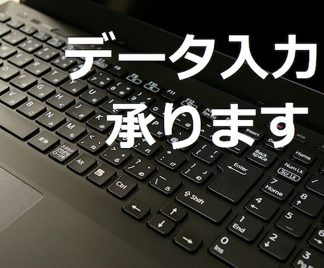 Excel等のデータ入力代行致します 実績が無いので勉強させてください。 イメージ1