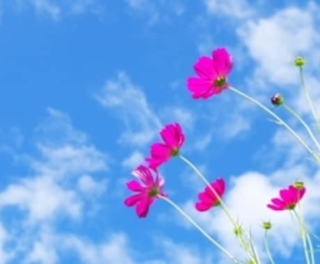 受け止めます あなたの心の中にあるモヤモヤを不満を吐き出してください イメージ1