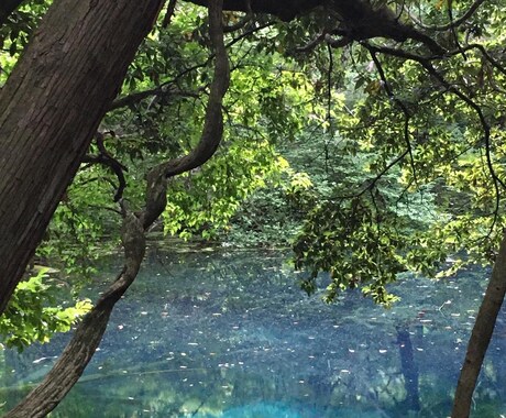 流産・中絶の悩みや死産でお別れした気持ちを支えます 言葉にできない気持ち、寄り添って受け止めます イメージ1