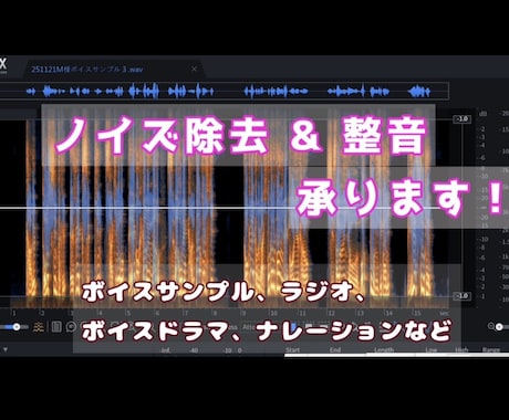 最短2日！音声の整音、ノイズ除去など承ります 高精度のノイズ除去で、声をもっと魅力的に！ イメージ1