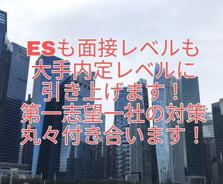 あなたの強み最大限に引き出して第一志望対策します 大手内定10社レベルまで叩き上げます！ イメージ1