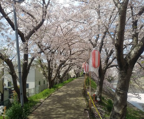 京都・奈良など関西の写真撮影代行します 神社仏閣や季節の風景等々、関西にて写真撮影を代行します イメージ2