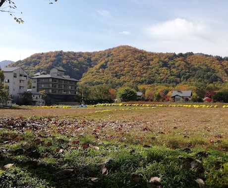 くるなつさま専用　記事かきます 丁寧、分かりやすい記事を心がけます。 イメージ1