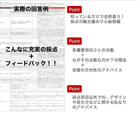 事業再構築補助金の事業計画書を採点します 現役・中小企業診断士が詳しいコメント付きで審査項目をチェック イメージ2