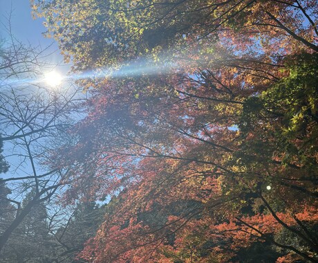 九星気学を用いて鑑定を致します 本来お持ちの性質とバイオリズムを知るだけで生きやすくなります イメージ2