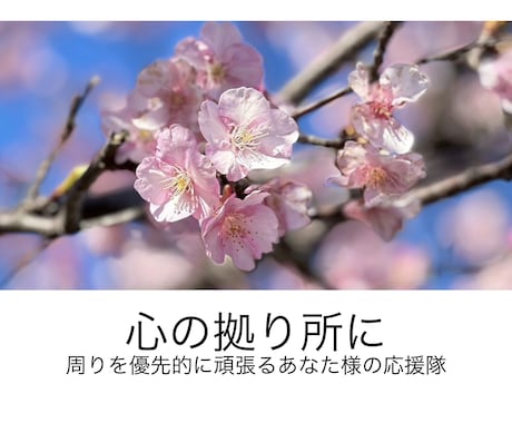 介護疲れある方へ✴︎1時間チャット心の負担聞きます ✴︎相談相手になります！共感・寄り添い・勇気づけを届けます！ イメージ1