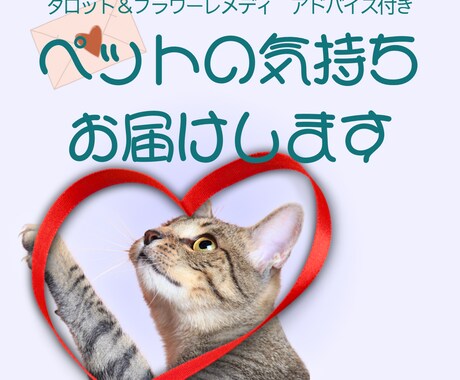 ペットの気持ちをタロットで視ます ※ 生きている子も虹の橋の子も対応。心のケアも丁寧にサポート イメージ1