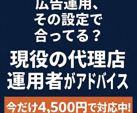 Google広告の設定・運用のアドバイスをします 運用5年目のプロが、この設定で合ってる？を画面を見ながら解消 イメージ1