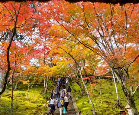わたしでも誰かのお役に立てれたらと思います お話してると時間ってあっという間に過ぎてて不思議ですよね？ イメージ1