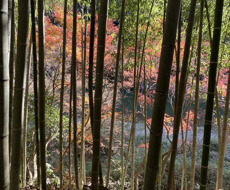 恐怖体験お話します 心霊体験や不思議体験、周りの人に起こった話をお伝えします。 イメージ1