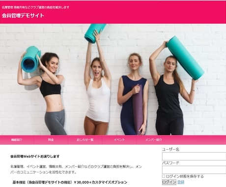 Webサイトの保守運用をご支援します ココナラで作成したサイトの、追加カスタマイズ、サイト運営支援 イメージ2