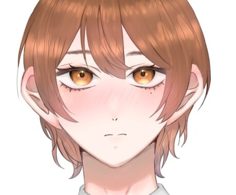 イラストを描いています とても可愛く描けたので良ければVなどにもお使いください イメージ2