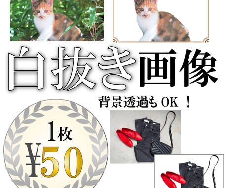 1枚50円 画像の面倒な画像の切り抜きいたします 白背景、透過どちらもOK！おまかせください！ イメージ1
