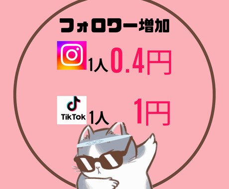 TikTok,インスタ等FW3000人獲得します 楽してSNSでの認知度アップ！！ イメージ1