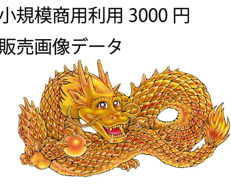 金龍画像素材 販売します イメージ1