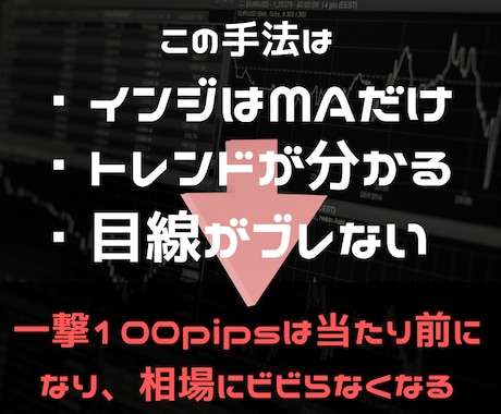 専業FXトレーダーが使用する秘密の手法を教えます 相場にビビる必要一切なし！正攻法を伝授してあなたを勝ち組に！ イメージ1