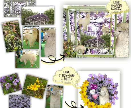 LINE❀ホーム画像❀を作成します ✧*｡沢山あるお気入写真を一枚に表現したい～が始まりです✧* イメージ1