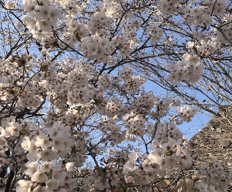 恋の相談乗ります 片想いから復縁まで何でも聞きます イメージ1