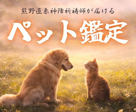 ペット・霊視鑑定｜丁寧に霊視し、お届けします ペット様が抱えている想い・気配・相性を知りたい方へ。 イメージ1