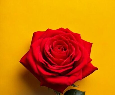 恋愛についてのお悩み　タロットで占います お相手とのこと、タロットで覗いてみませんか？ イメージ1