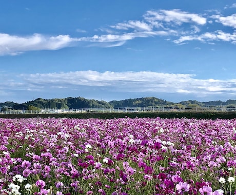 その思い聞かせてください。ゆっくり聞きます 誰かに聞いてほしい気持ち。あなたのペースで。 イメージ1