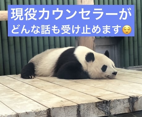 現役カウンセラーがあなたの気持ち受け止めます 愚痴でもお悩みでも雑談でも...話してスッキリしませんか？ イメージ1