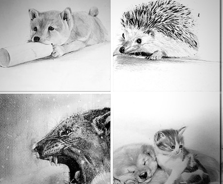 鉛筆で動物を描きます 生命を感じさせる魅力的な画を目指します。 イメージ1