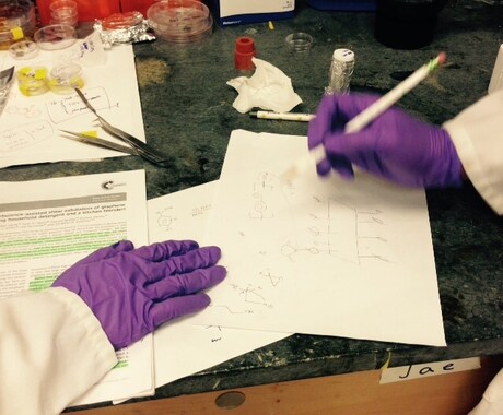 見栄えのいいエントリーシートを作成します スッカスカの中身を見た目豪華に！ イメージ1