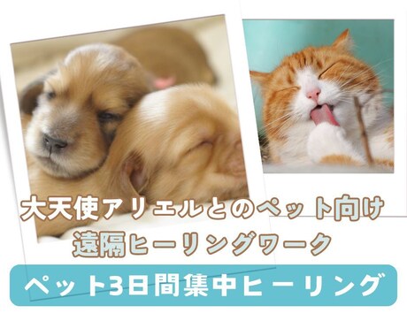 ３日間集中遠隔ヒーリングで大天使とペットを癒します ★大天使アリエル★ペットの元気が無い時の集中的なサポート イメージ1