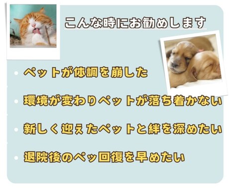 ３日間集中遠隔ヒーリングで大天使とペットを癒します ★大天使アリエル★ペットの元気が無い時の集中的なサポート イメージ2