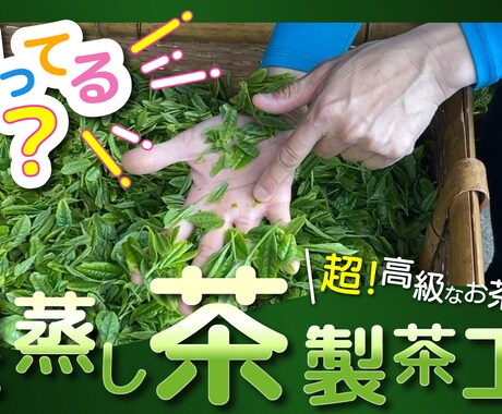 ずんだもんの音声つけます！ます TikTok再生回数１万回越え多数でペット動画あげてます！ イメージ1