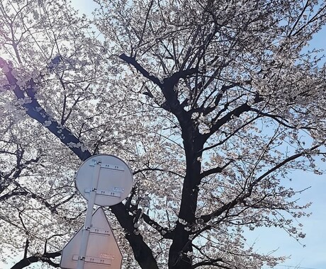 現役看護師があなたに寄り添った電話相談 いたします 現役ナースが寄り添った電話相談＊何でも安心して話して下さい イメージ1