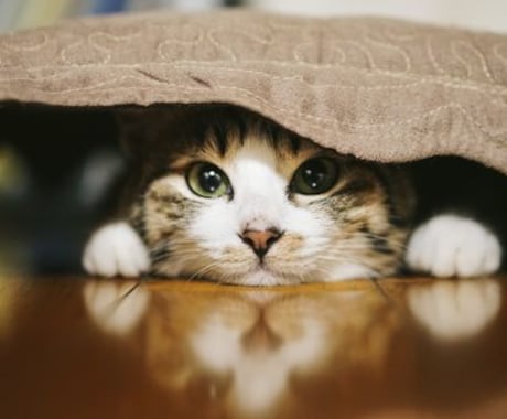 夜10時～不安な気持ちを受け止めます 誰にも言えない話、些細な話でも何でも。 イメージ1