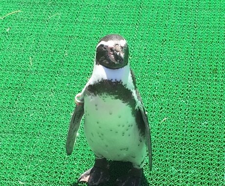 恋愛、愚痴、人間関係などの相談にのります 知り合いに相談できない、愚痴を聞いてほしい人などにおススメ！ イメージ1