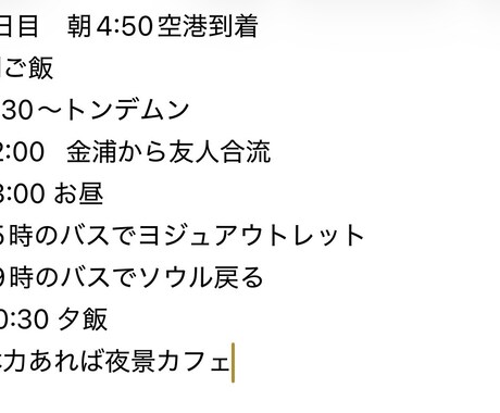 ソウル、行きたい場所を全部入れて無駄なく回れます 在日韓国人×韓国語堪能！無駄なく巡るソウル旅プラン。 イメージ2
