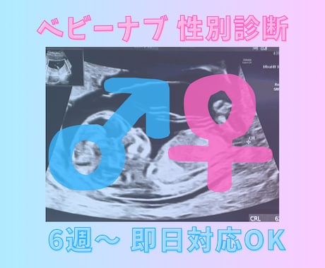 妊娠6週〜＊スピード対応ベビーナブ性別診断します 『 妊娠初期のドキドキに、やさしく寄り添う性別予測 』 イメージ1