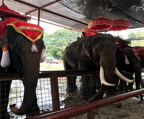 タイ留学したい方必見！経験者が何でも相談に乗ります 結論！タイで英語をしっかり勉強できます。 イメージ2